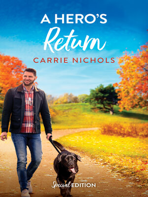 cover image of A Hero's Return